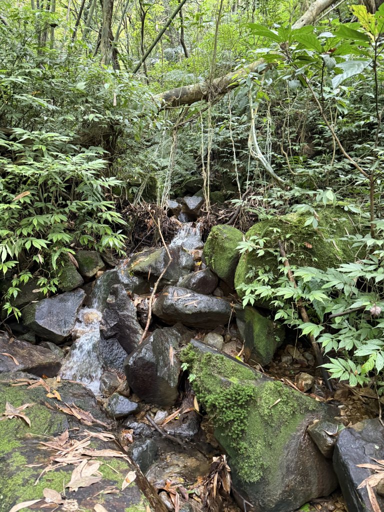 淡蘭北路第二段：燦光寮至澳底_2876417