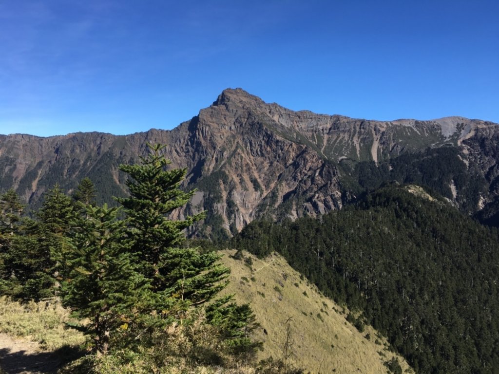 玉山主東西單攻_783562