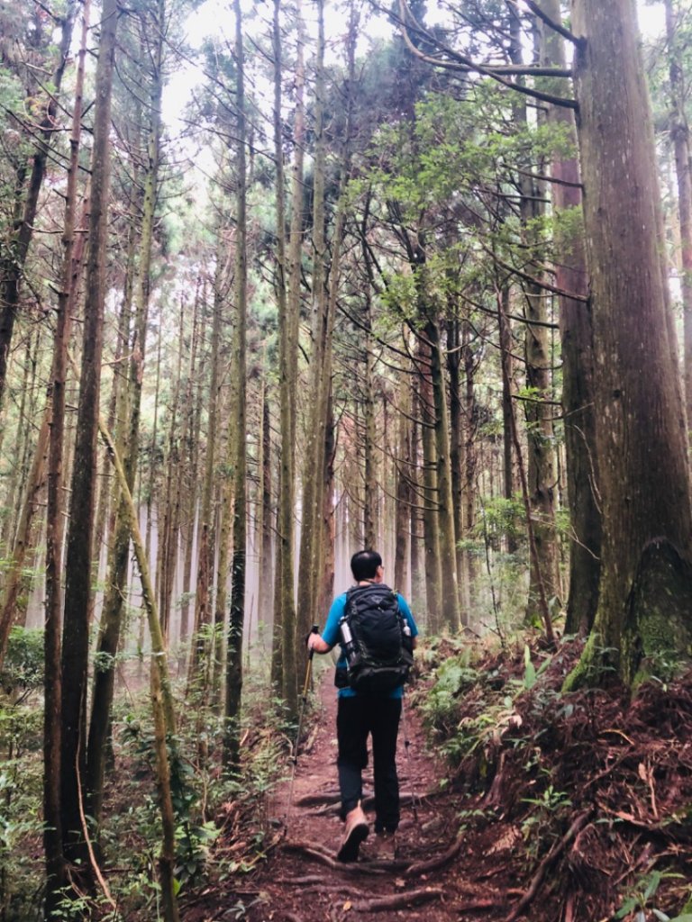 1090725高台山+美人湯_1045463