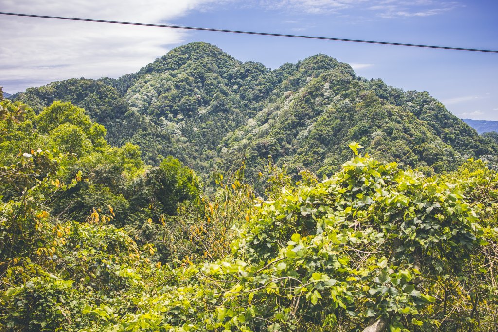 20230506-[苗栗] 仙山步道_2534379