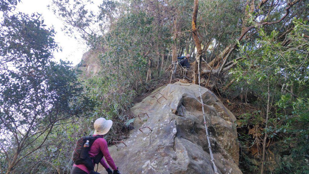 五石縱走2024年11月24日_2653418