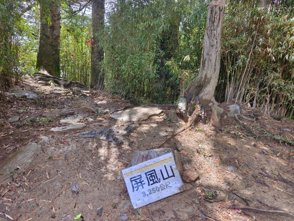 兩颱風之間空擋登屏風山巧遇保育類動物+出大景_2237876