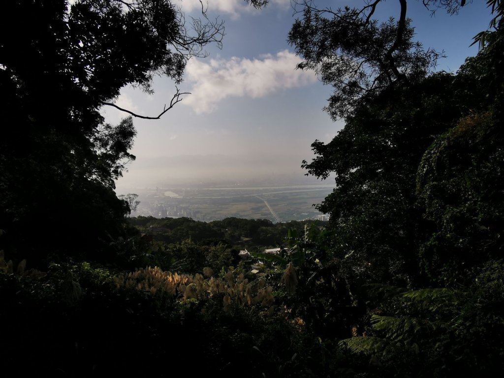 面天山、向天山步道→七星山主、東峰→大溝溪溪畔步道→碧湖公園步道→坪頂古圳親水步道→台北植物園步道_1667564