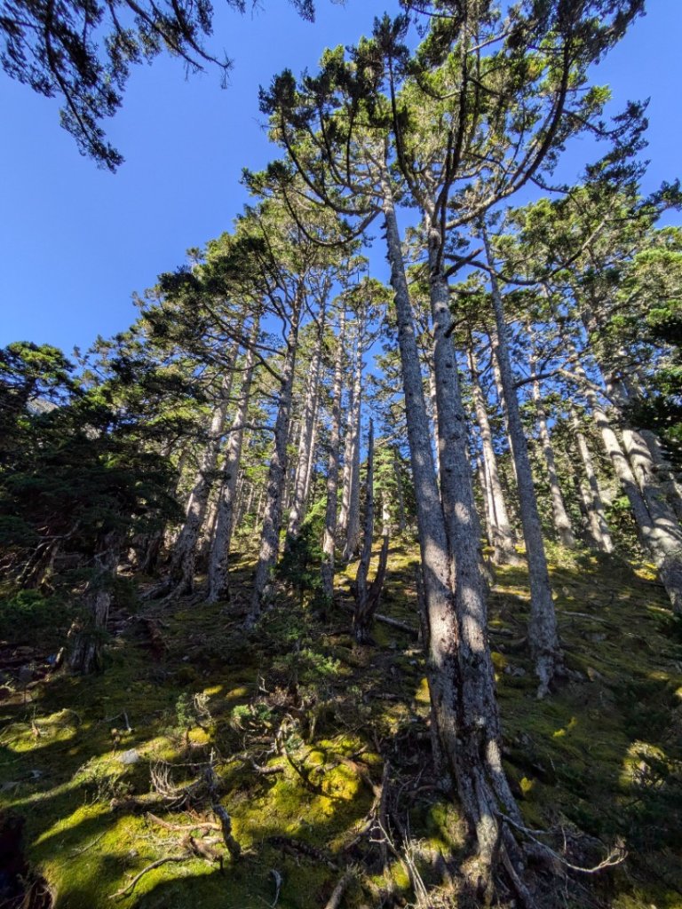 20250927雪山主東峰_2916238