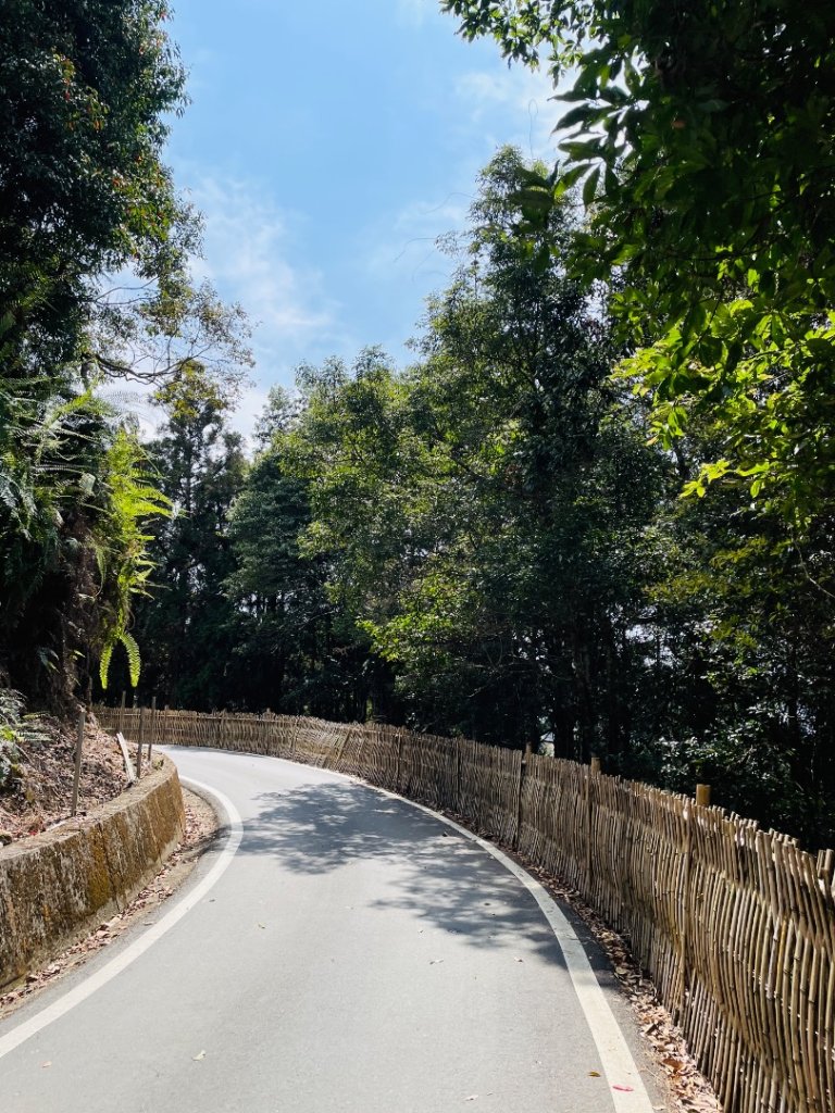 雲嶺之丘順走番仔田三角點_2471070