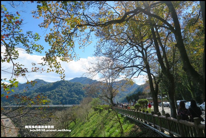 漫步石門水庫楓林步道_1230214