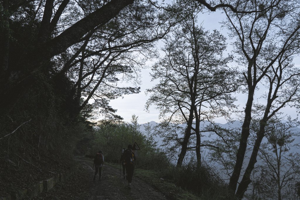 Mt.Dabajian -白霧大霸_914544