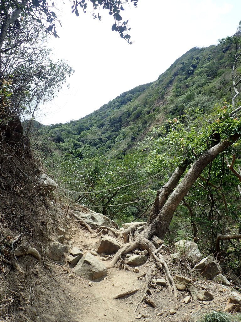 小百岳#80_里龍山_恆春半島最高峰_941971