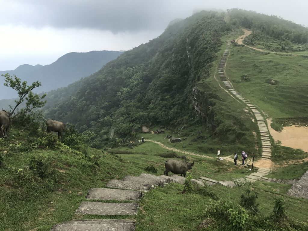 桃源谷草嶺古道線_126694