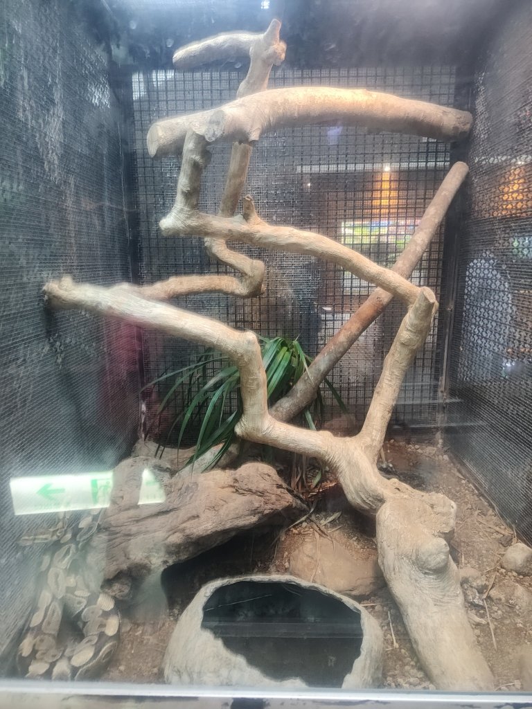 台北動物園_2663974