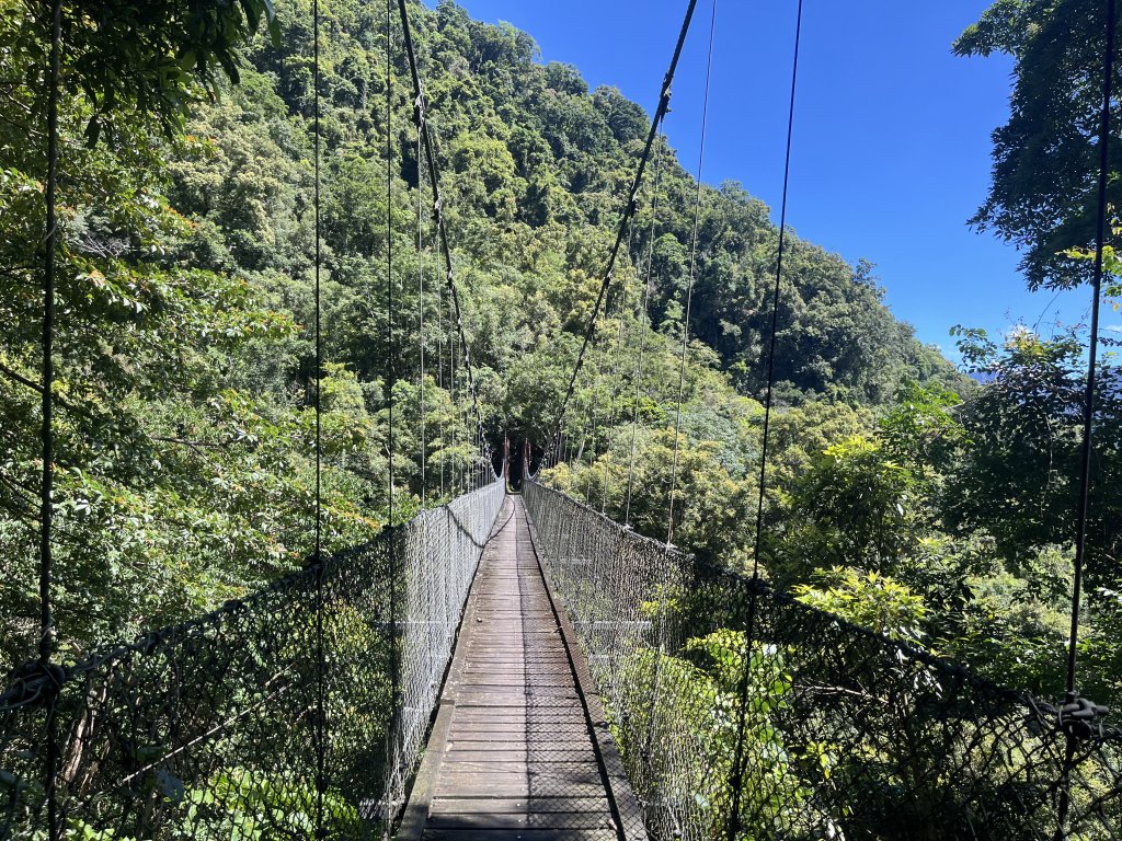 [玉山尋寶任務-03/12] 2025_0810 瓦拉米步道_2857698