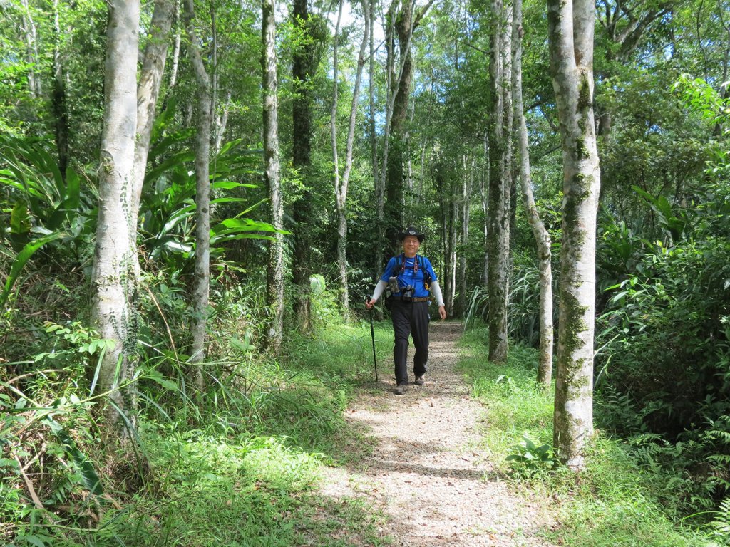 拳頭姆自然步道輕鬆行_792640