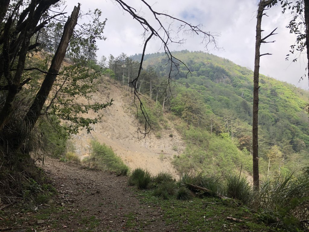 石山引水道封面圖