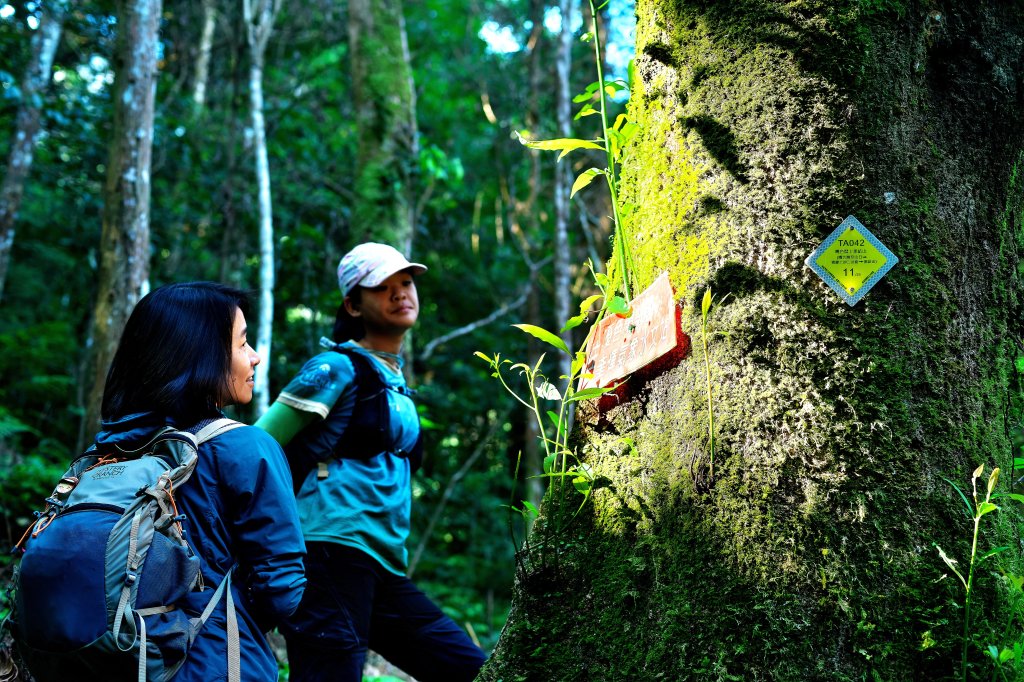 嘎色鬧登那結山_2392490