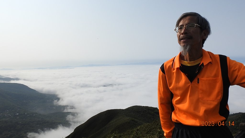 邂逅江湖傳說已久鐘萼木(據說冰河孓遺植物)，再見差強人意的月光/日出雲海_2112163