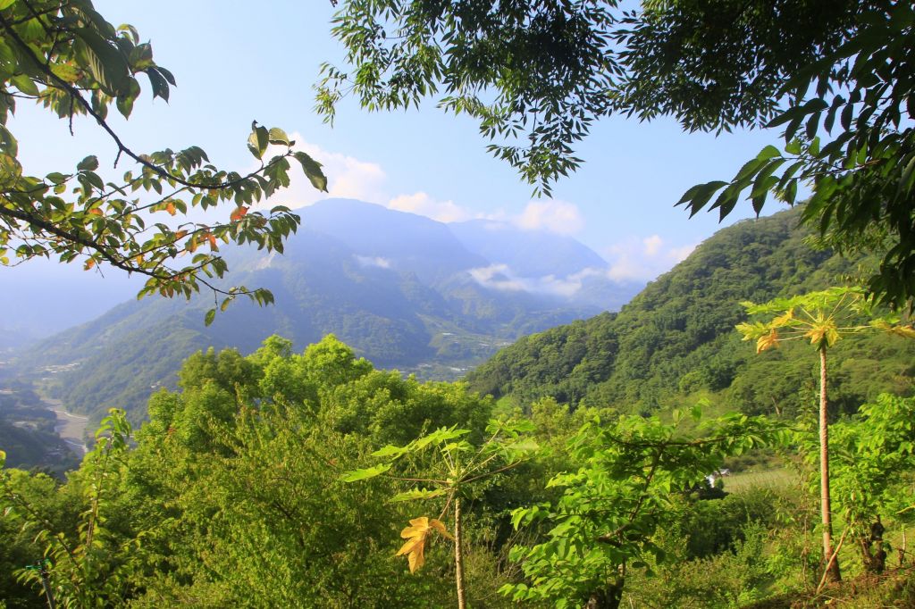 一日登山的好去處~獵人古道~望美山~_372701