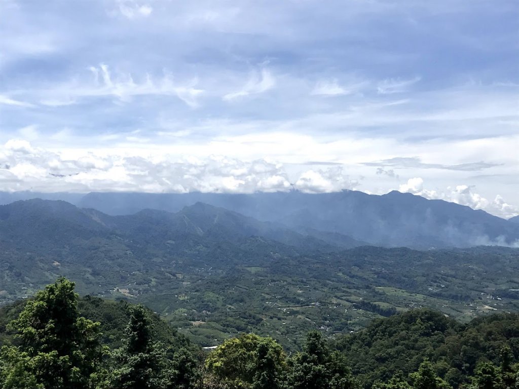 薑麻園桐花步道20200627封面圖