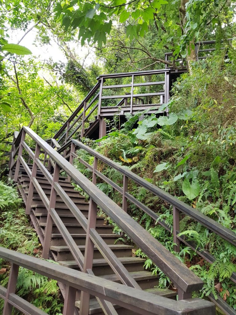 2019.07.23 文山區-仙跡岩_634745