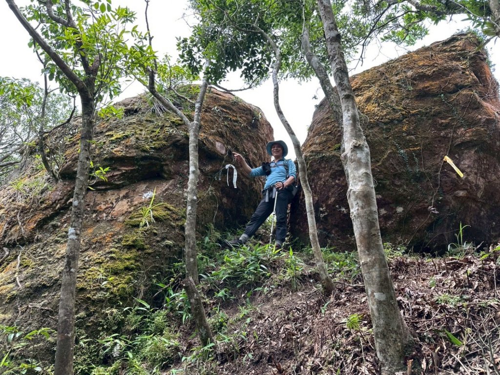 南勢坑山、鑽石峰、人面頭山、獅公髻尾山O走_2809813