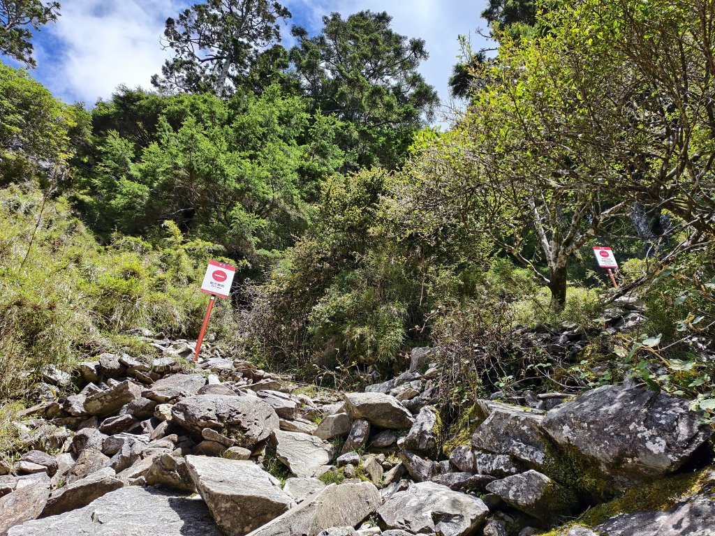 [玉山尋寶任務-04/12] 2025_0823 玉山前峰登山山徑_2869556