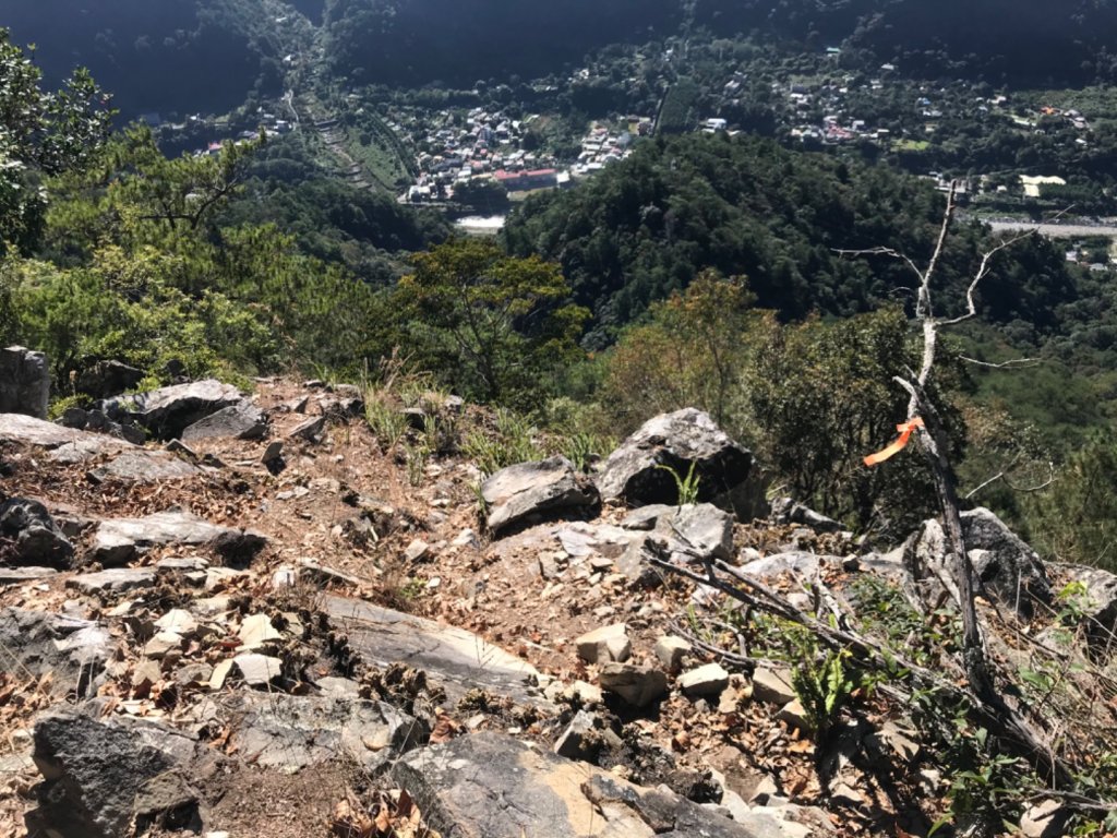 德芙蘭步道上東卯山東稜 O 型_1131876