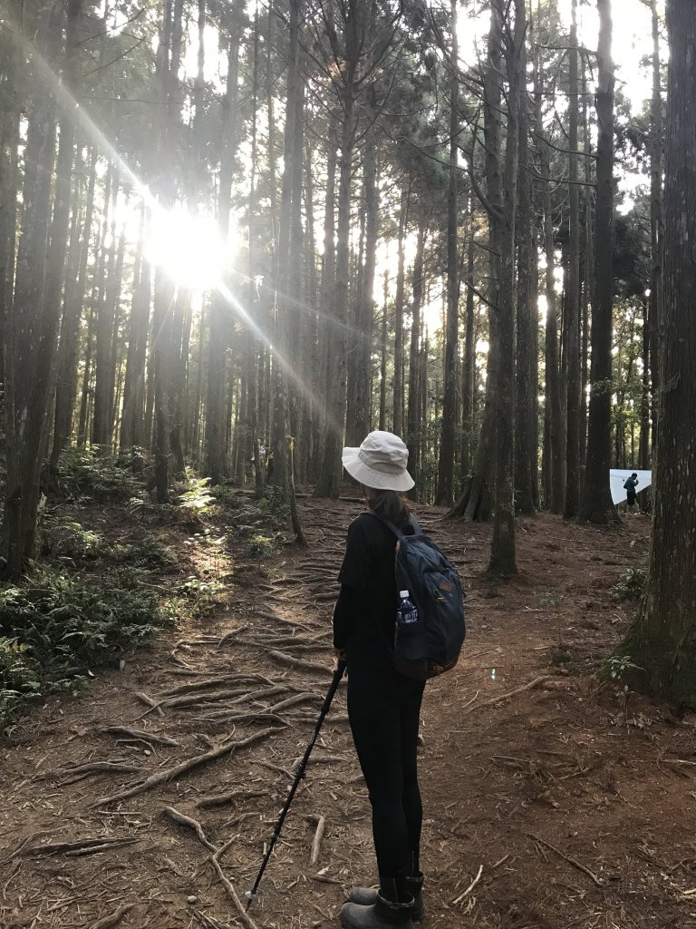 登山野營兩相宜~高島縱走_1488842