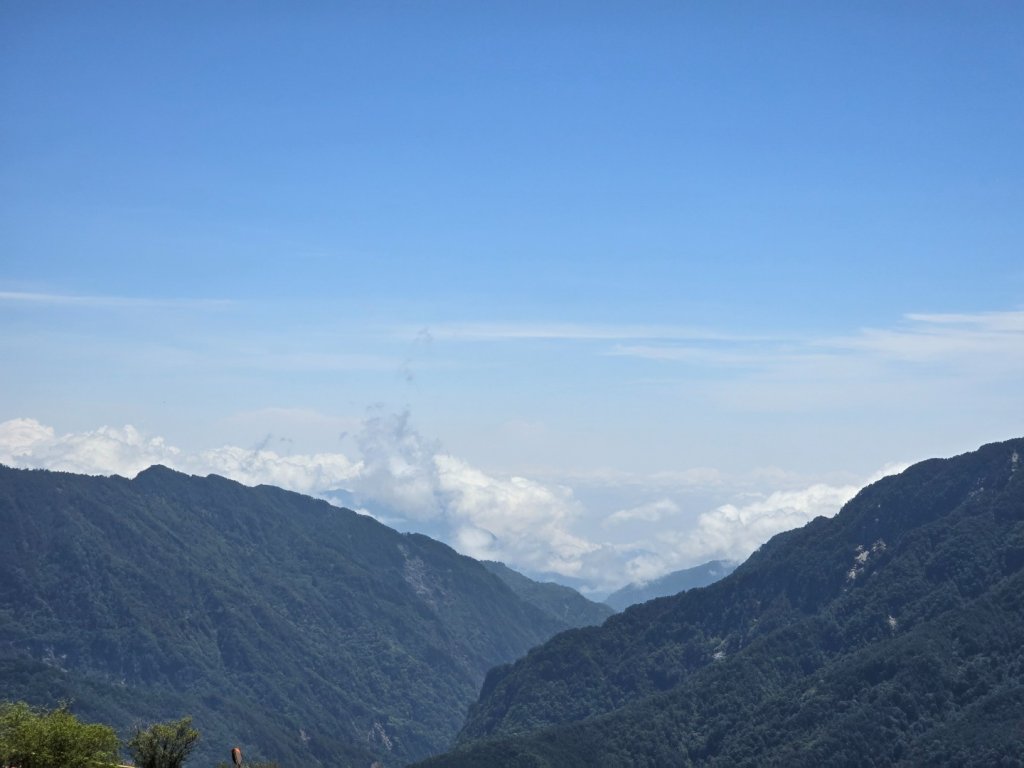 合歡北峰高山杜鵑盛開／龍膽點綴／紅毛杜鵑少許開花_2497445