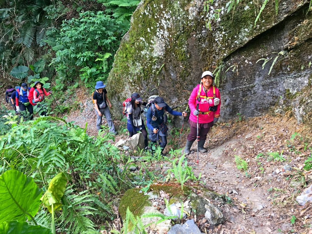 登碧綠神木旁焦土山及加碼綠水文山步道  _375980
