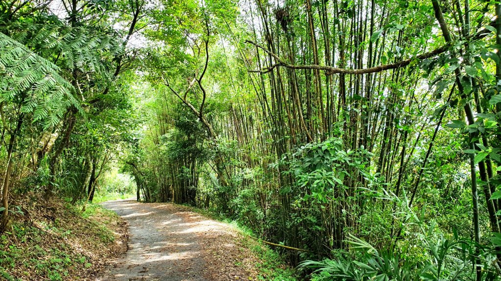 苗栗出雲古道，三通嶺古道（挑炭古道），慈濟山古道，新竹茶亭古道，大山背山，大崎棟古道_1723793