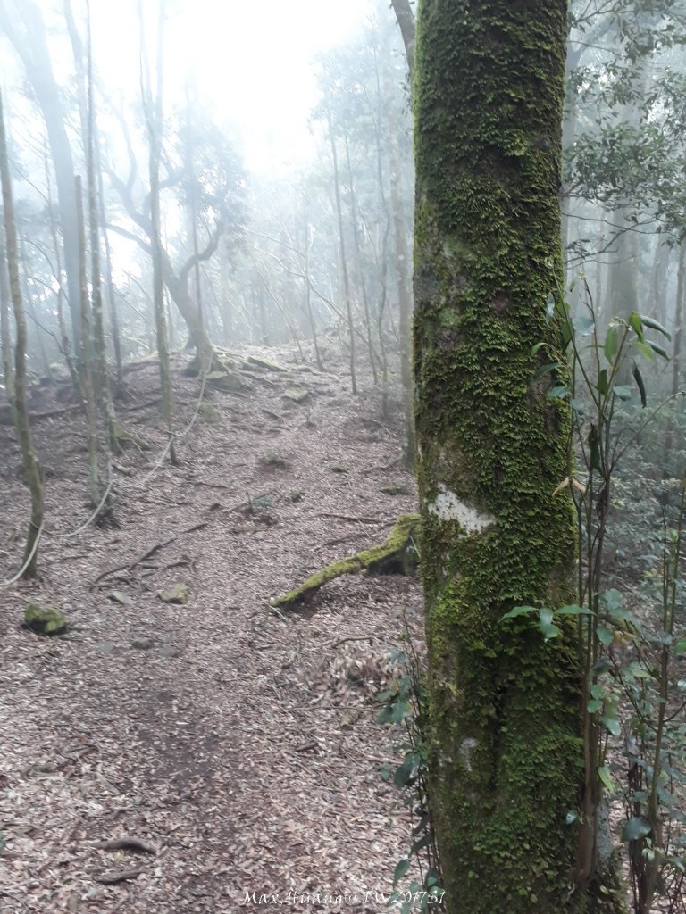 《台中》谷關七雄｜初登屋我尾山20170319_2890418