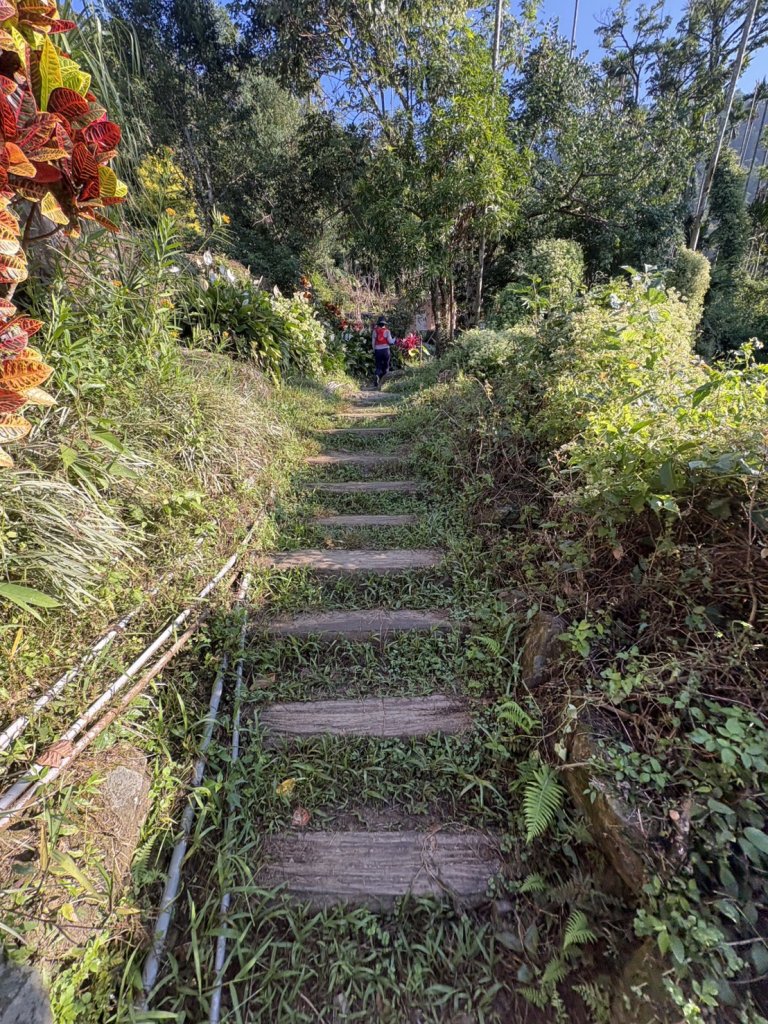 20251122獨立山國家步道+觀音石山+阿拔泉山_2944243