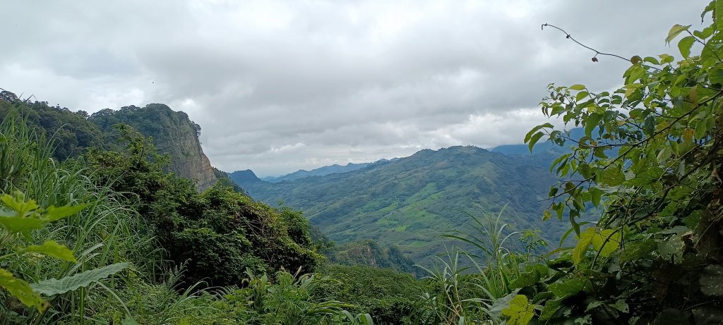 2024/08/18_馬那邦山步道_2576211