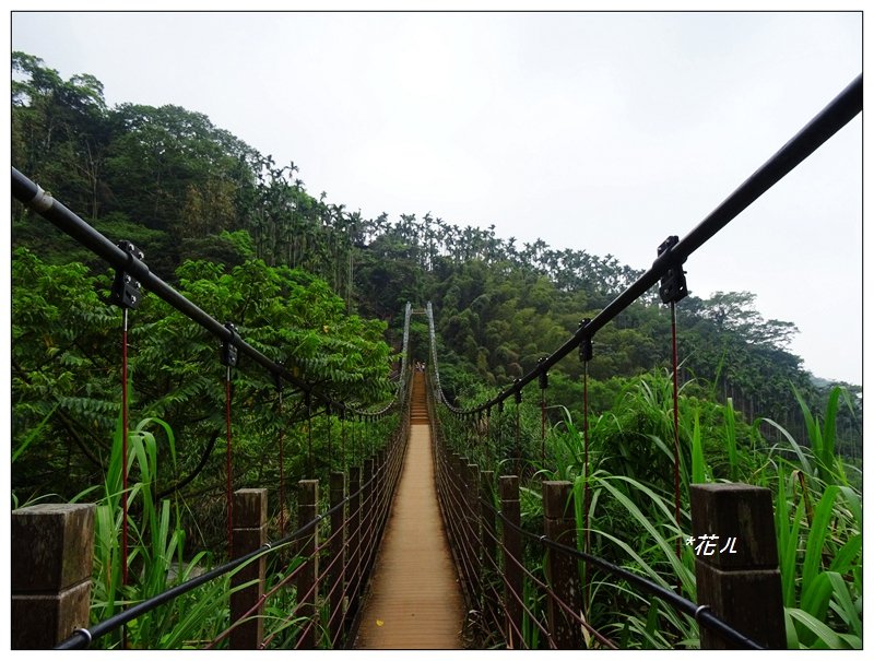 華山/雲嘉大尖山_896848