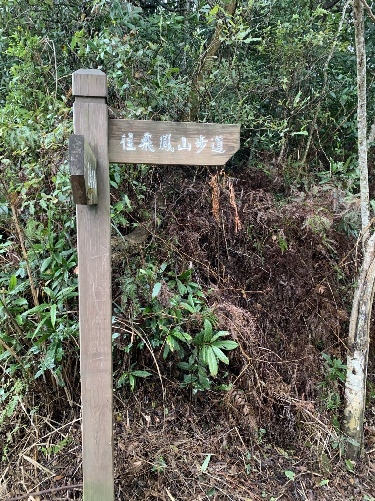 飛鳳山-中坑山封面圖