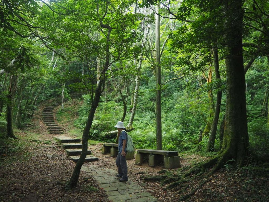 桃園東眼山森林浴20180728_373273