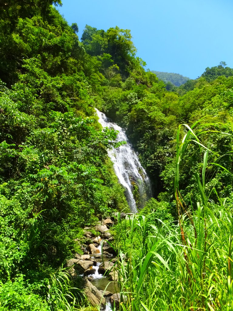 【走入山林，清涼一夏】宜蘭澳花瀑布步道_633026