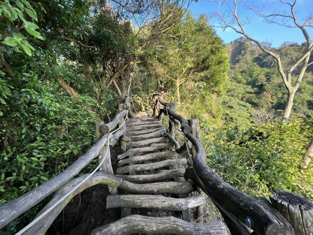 大坑二號步道封面圖