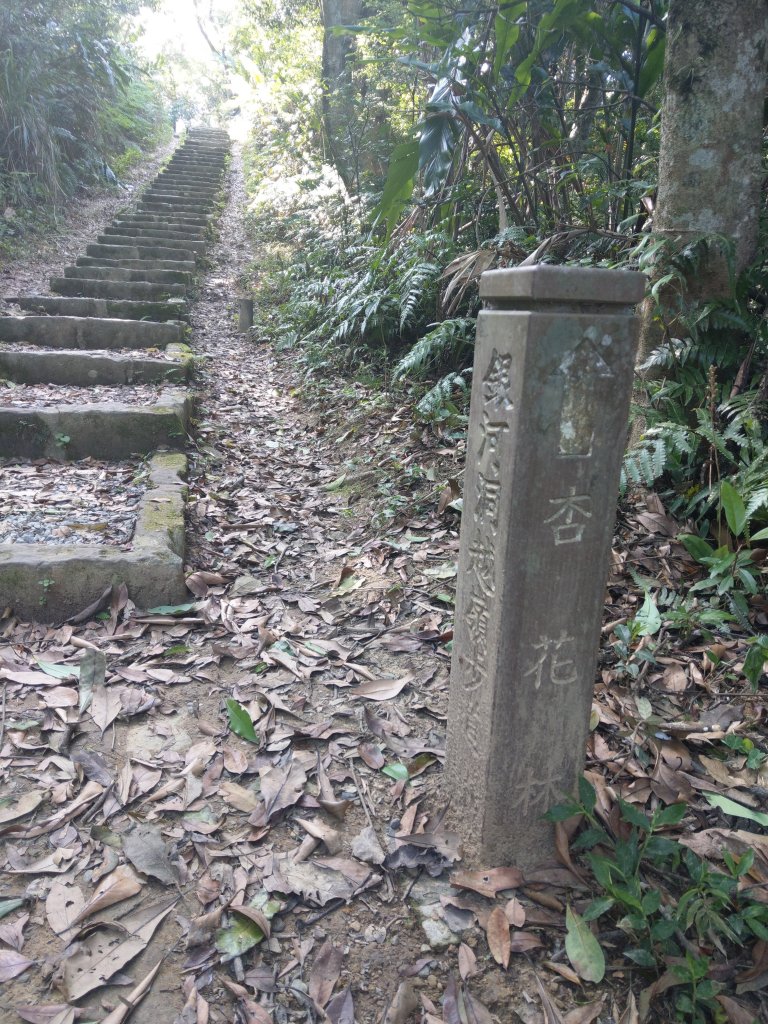 貓空隨意行［樟湖步道、待老坑山、杏花林、明德宮、樟山寺］及政大小坑溪親水文學步道(2021/4/6)_1417880