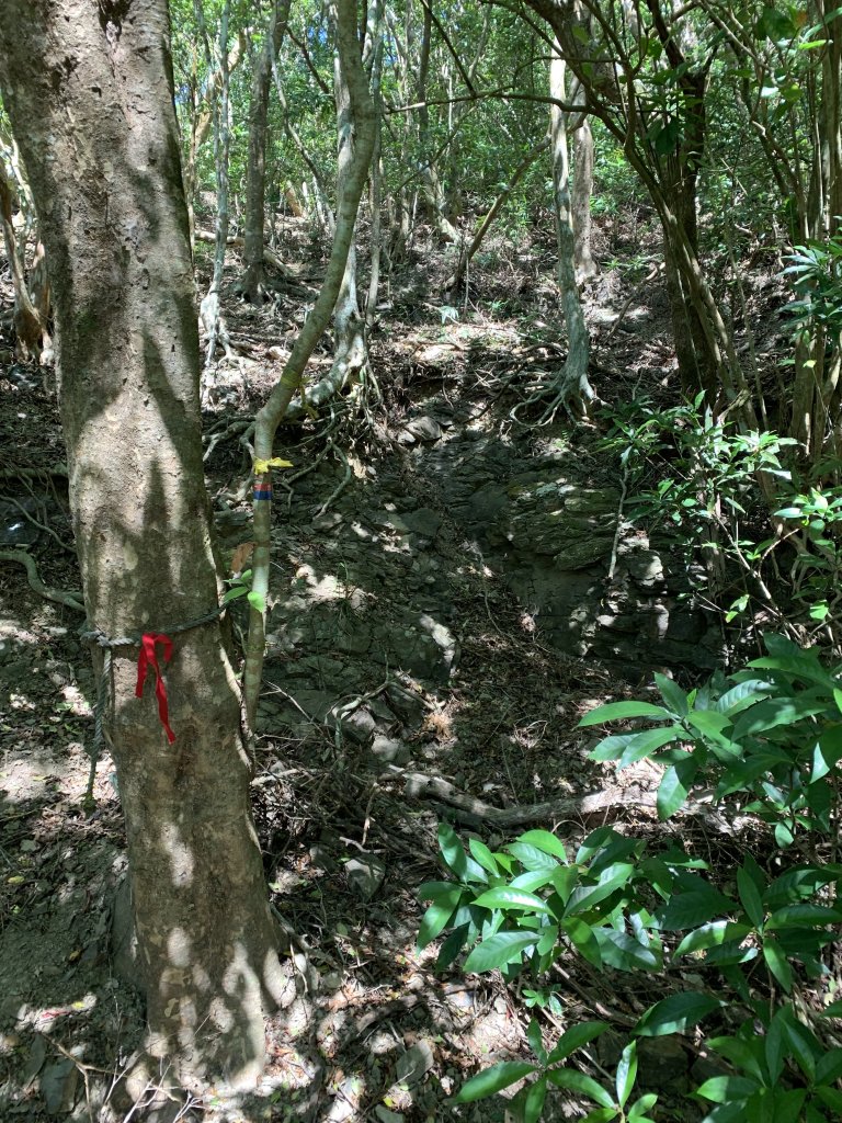 20250130屏東北湖呂山-古華山_2705914