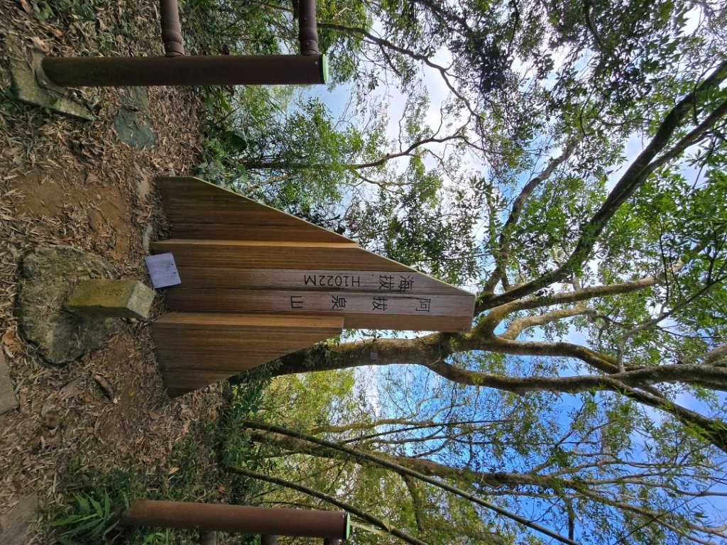 嘉義竹崎十連峰（ 阿拔泉山進O繞獨立山出）_2655200