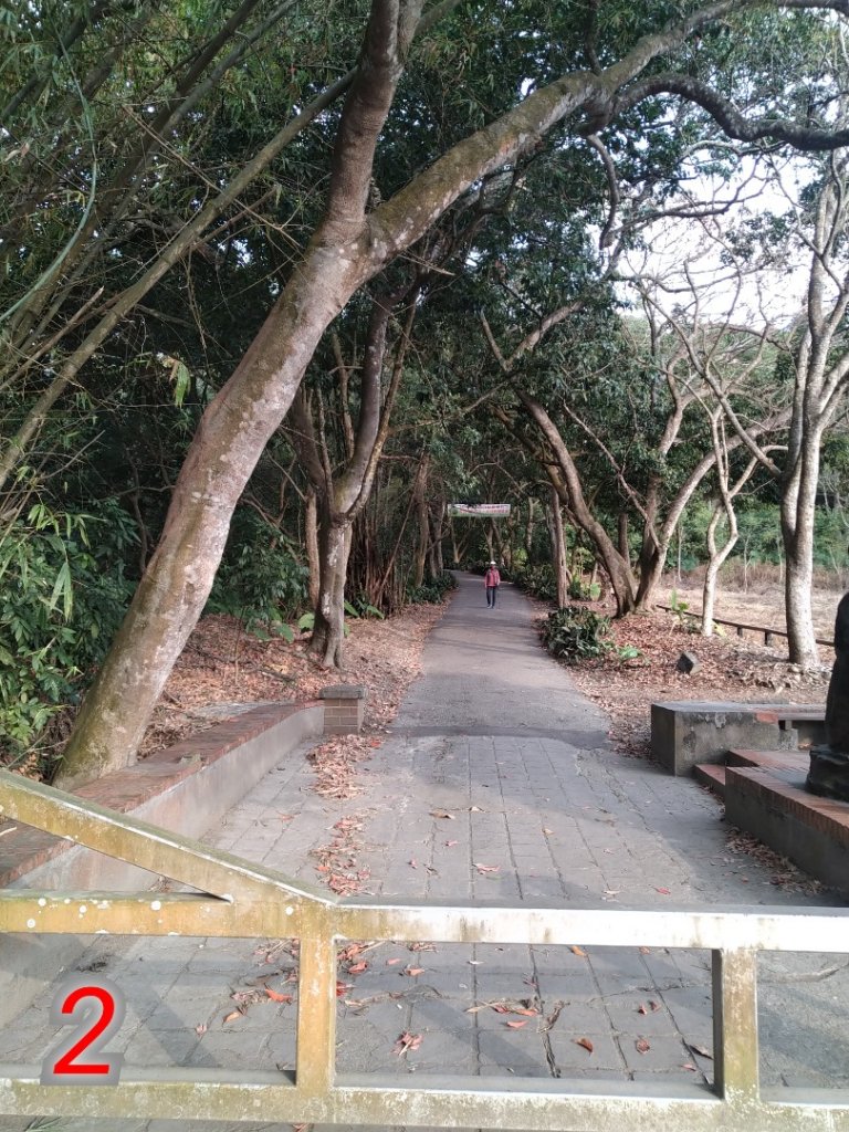 我們這一家---松柏嶺登廟步道_817922