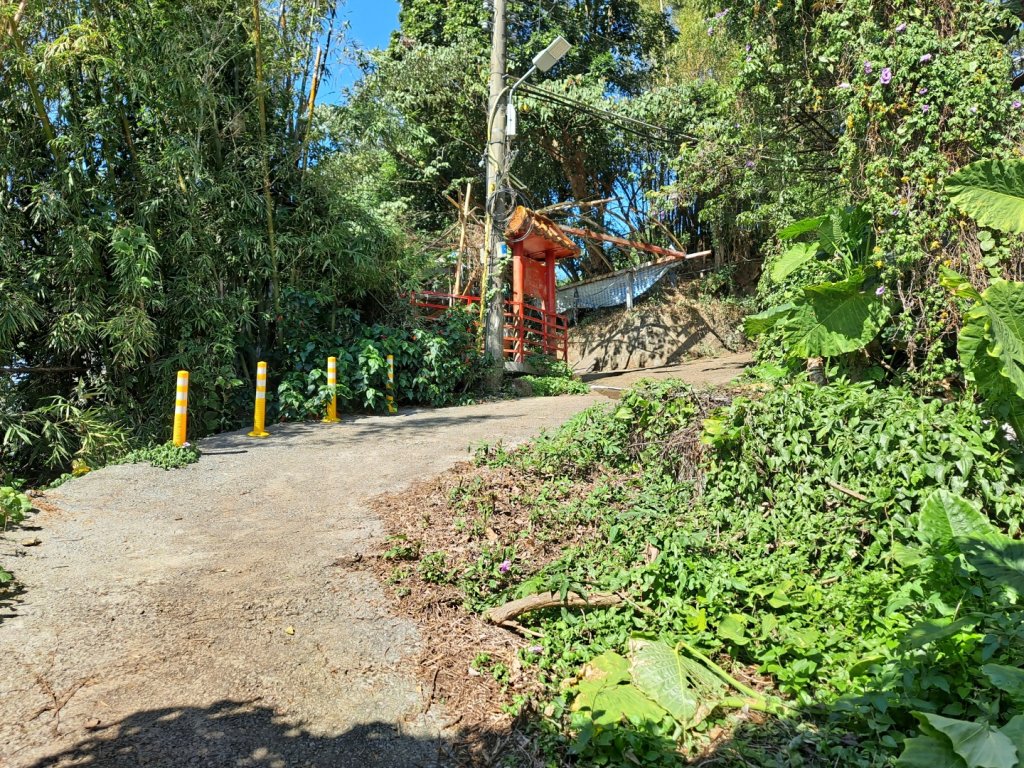 20240201故宮-狗殷勤古道-平菁街賞櫻-溪山百年水圳步道-平菁步道_2458409