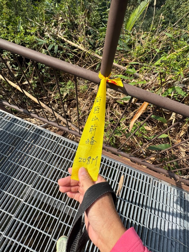 古坑地母廟走荷苞山(登山步道)訪小溪子山_2946753