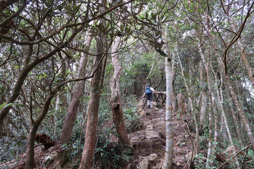 橫沙笛縱走_2651021