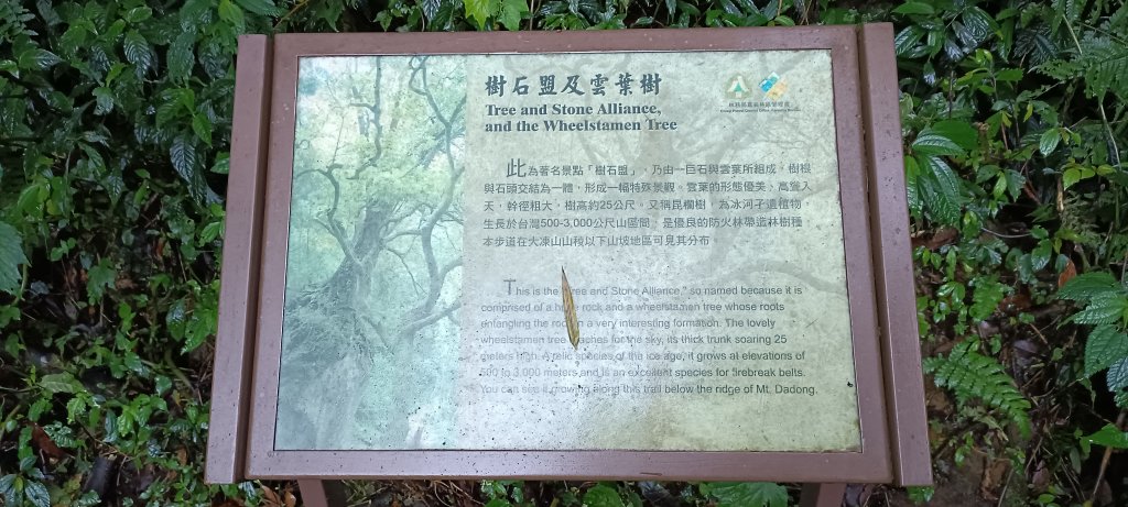 20230722_奮起湖大凍山步道_2227333