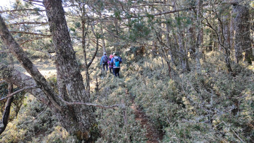 布拉克桑山單攻O繞嘉明湖戒茂斯山 2024年12月8日_2667019