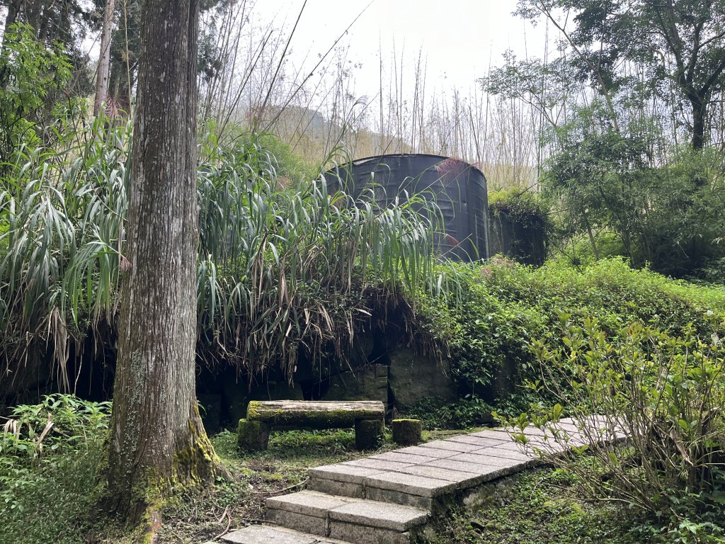 [嘉遊好步道．來嘉走走-04/10] 2024_1011 阿里山頂湖步道_2624683