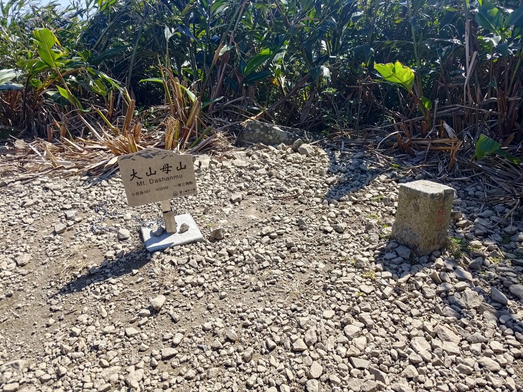 大山母山_2690995