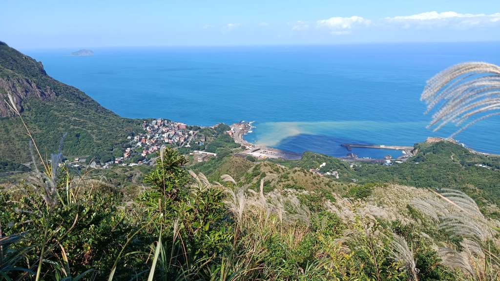 找一個晴天去爬山~金瓜石芒花之旅_2962421