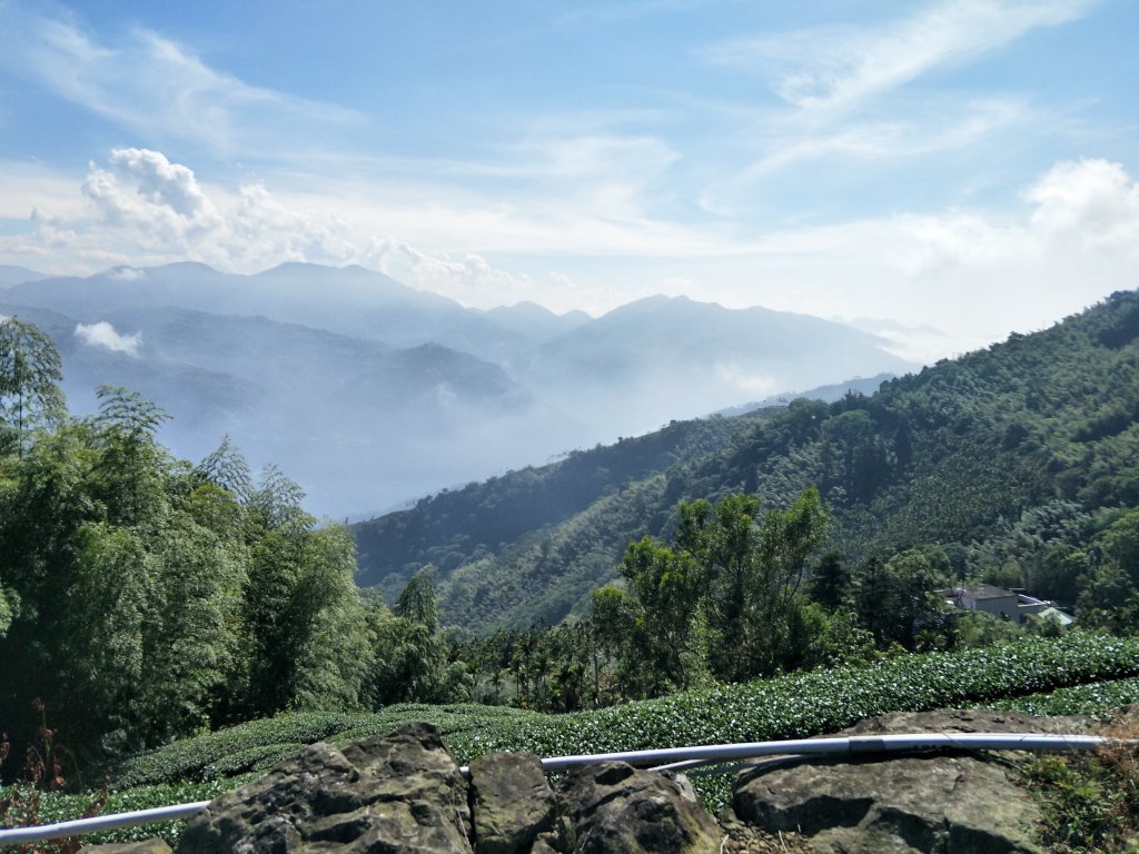 2018 11 22 挑筍古道(大尖山、後棟仔山步道)_463805